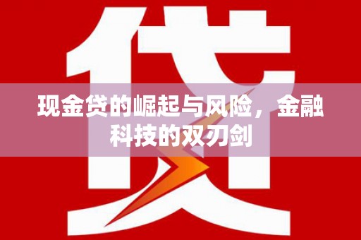 碑林现金贷的崛起与风险，金融科技的双刃剑