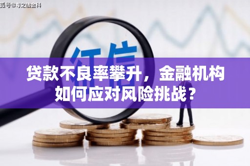 碑林贷款不良率攀升，金融机构如何应对风险挑战？