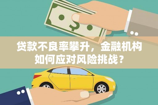 碑林贷款不良率攀升，金融机构如何应对风险挑战？