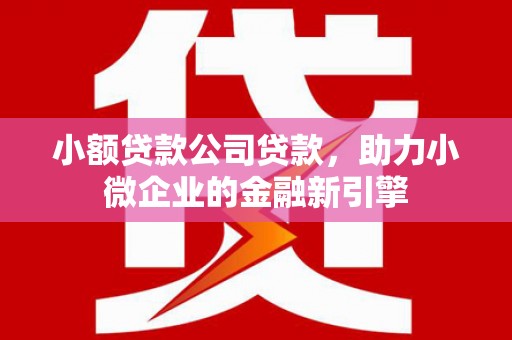碑林小额贷款公司贷款，助力小微企业的金融新引擎
