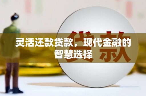 碑林灵活还款贷款，现代金融的智慧选择
