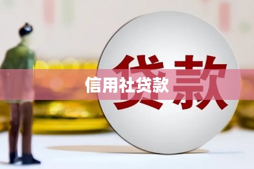 碑林信用社贷款