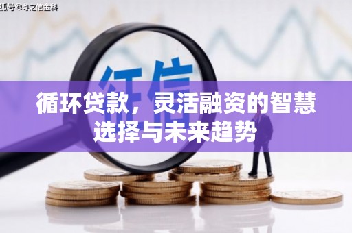 碑林循环贷款，灵活融资的智慧选择与未来趋势