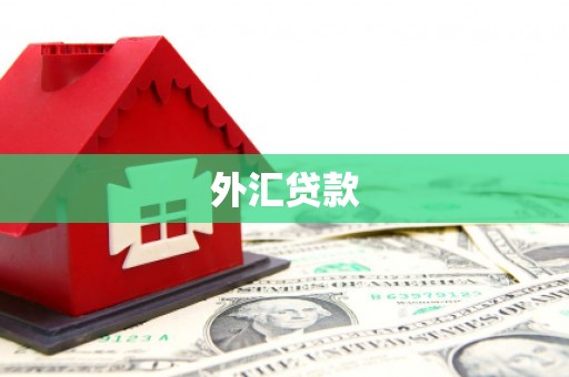 碑林外汇贷款