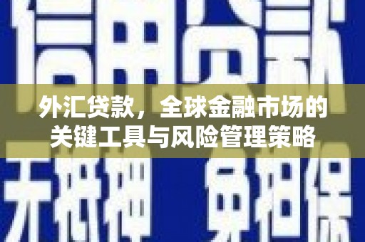 碑林外汇贷款，全球金融市场的关键工具与风险管理策略