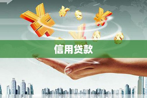 碑林信用贷款