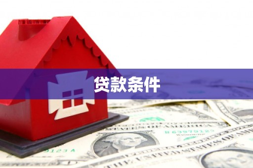 碑林贷款条件