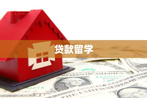 碑林贷款留学
