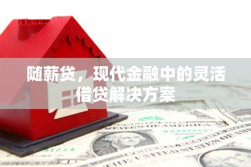 碑林随薪贷，现代金融中的灵活借贷解决方案