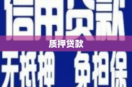 碑林质押贷款