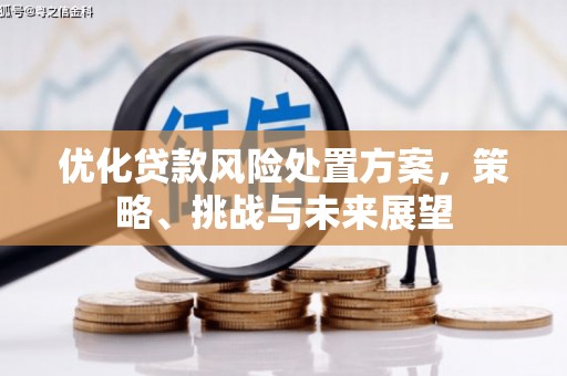 碑林优化贷款风险处置方案，策略、挑战与未来展望