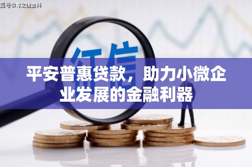 碑林平安普惠贷款，助力小微企业发展的金融利器