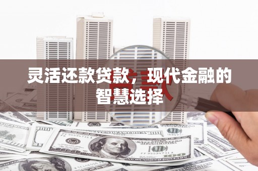 碑林灵活还款贷款，现代金融的智慧选择