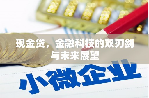 碑林现金贷，金融科技的双刃剑与未来展望