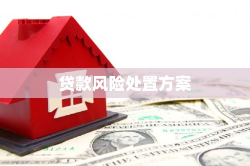 碑林贷款风险处置方案