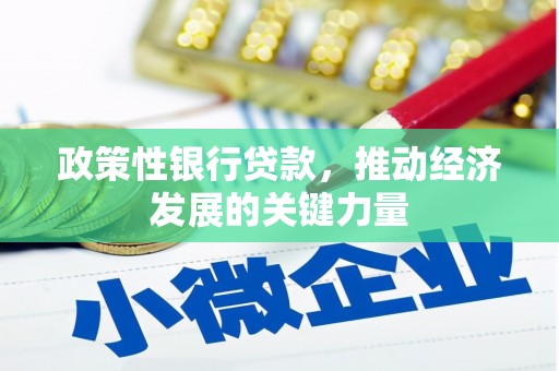 碑林政策性银行贷款，推动经济发展的关键力量