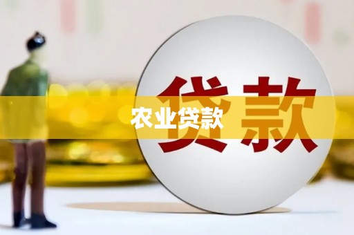 碑林农业贷款