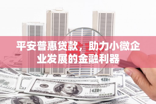 碑林平安普惠贷款，助力小微企业发展的金融利器