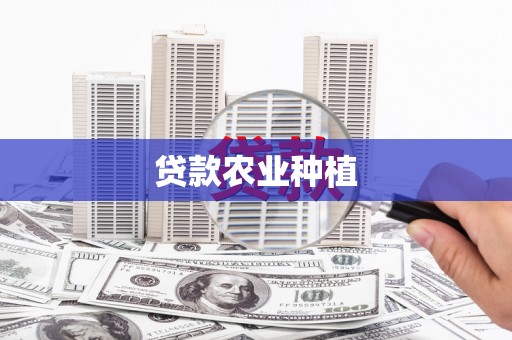 碑林贷款农业种植