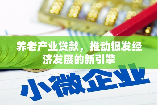 碑林养老产业贷款，推动银发经济发展的新引擎