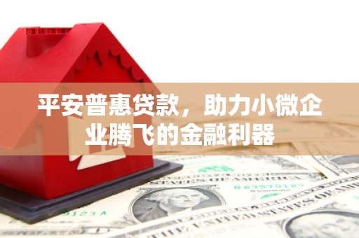 碑林平安普惠贷款，助力小微企业腾飞的金融利器