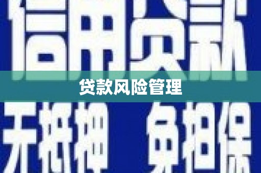 碑林贷款风险管理