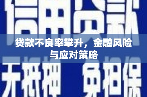碑林贷款不良率攀升，金融风险与应对策略