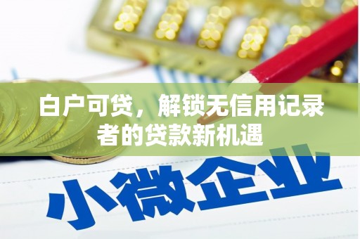 碑林白户可贷，解锁无信用记录者的贷款新机遇
