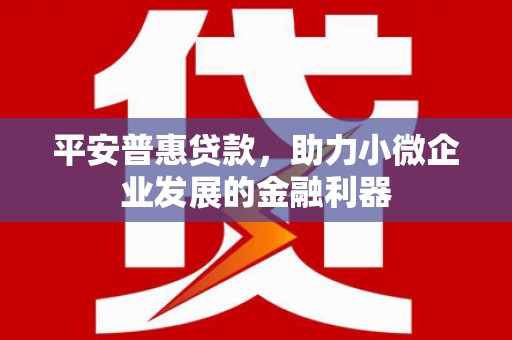 碑林平安普惠贷款，助力小微企业发展的金融利器