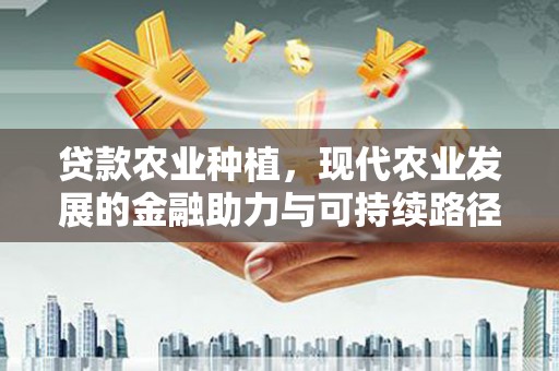 碑林贷款农业种植，现代农业发展的金融助力与可持续路径