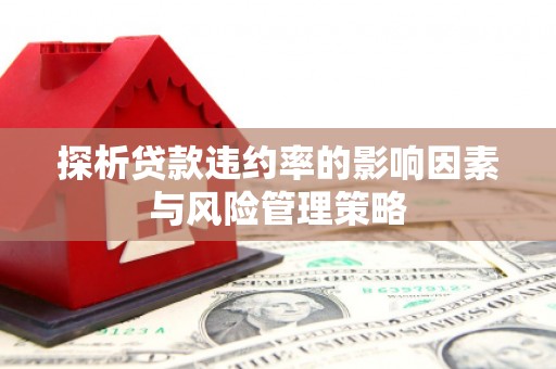 碑林探析贷款违约率的影响因素与风险管理策略