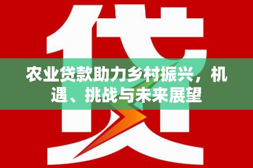 碑林农业贷款助力乡村振兴，机遇、挑战与未来展望