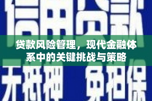 碑林贷款风险管理，现代金融体系中的关键挑战与策略