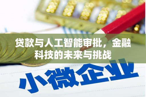 碑林贷款与人工智能审批，金融科技的未来与挑战