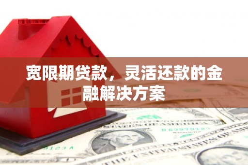 碑林宽限期贷款，灵活还款的金融解决方案