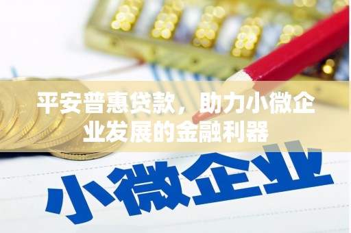 碑林平安普惠贷款，助力小微企业发展的金融利器