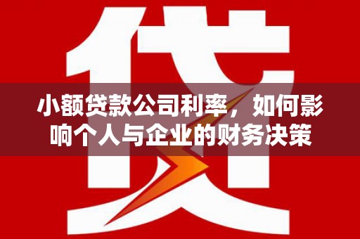 碑林小额贷款公司利率，如何影响个人与企业的财务决策