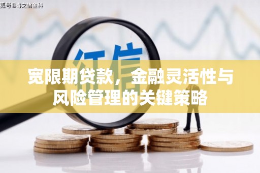 碑林宽限期贷款，金融灵活性与风险管理的关键策略