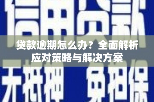 碑林贷款逾期怎么办？全面解析应对策略与解决方案