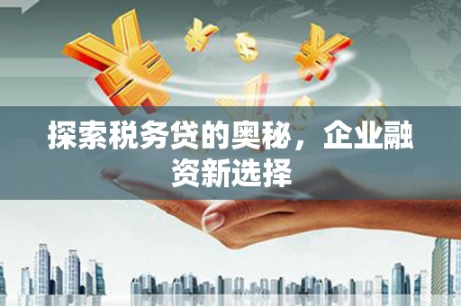碑林探索税务贷的奥秘，企业融资新选择
