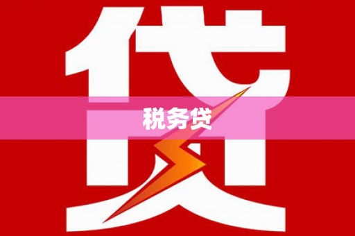 碑林税务贷