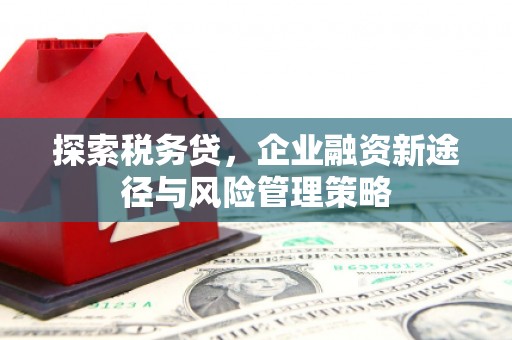 碑林探索税务贷，企业融资新途径与风险管理策略