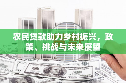 碑林农民贷款助力乡村振兴，政策、挑战与未来展望