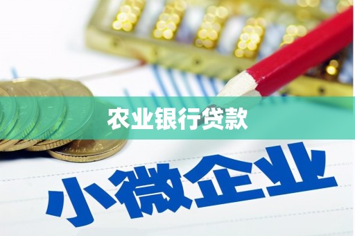 碑林农业银行贷款