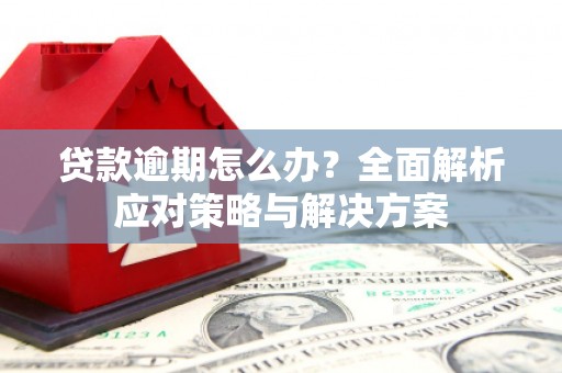 碑林贷款逾期怎么办？全面解析应对策略与解决方案