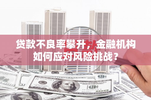 碑林贷款不良率攀升，金融机构如何应对风险挑战？