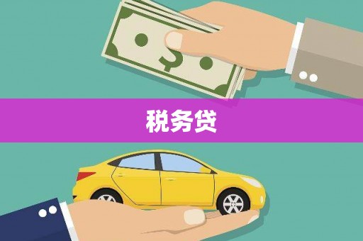 碑林税务贷