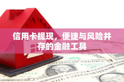 碑林信用卡提现，便捷与风险并存的金融工具