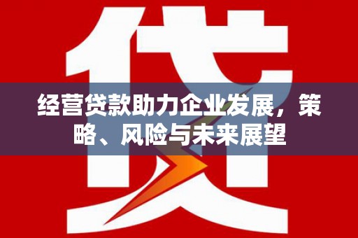 碑林经营贷款助力企业发展，策略、风险与未来展望