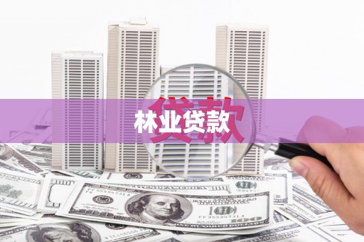 碑林林业贷款